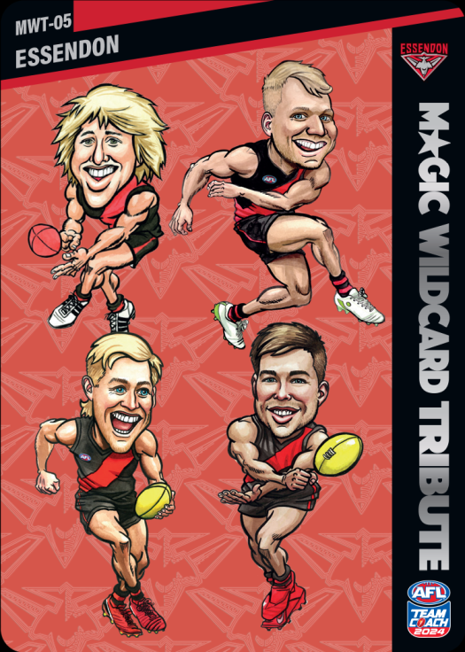 Essendon Bombers, Magic Wildcard Tribute, 2024 Teamcoach AFL
