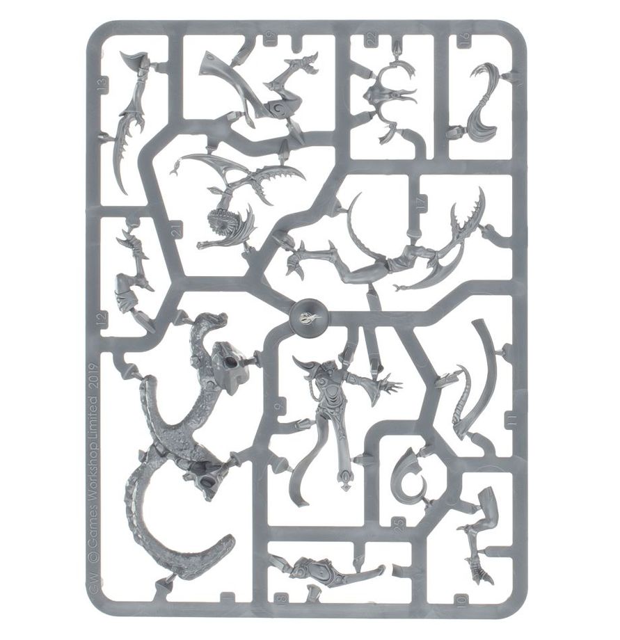 Warhammer Age of Sigmar 83-112, Regiment of Renown: The Accursed Reflection