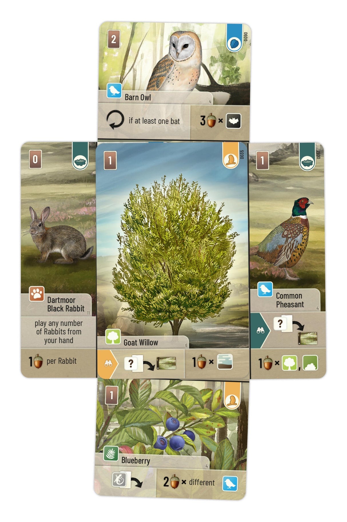 Forest Shuffle Dartmoor