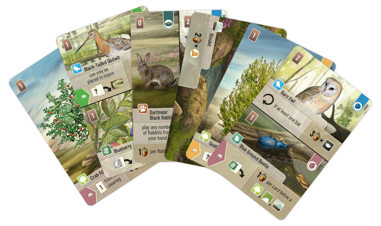 Forest Shuffle Dartmoor