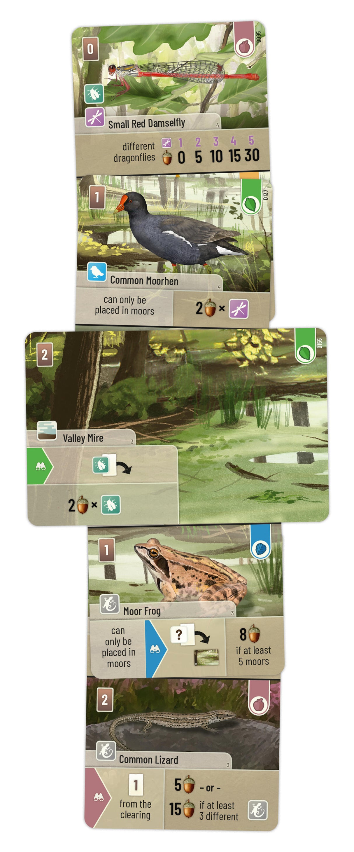 Forest Shuffle Dartmoor