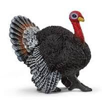 Schleich Turkey