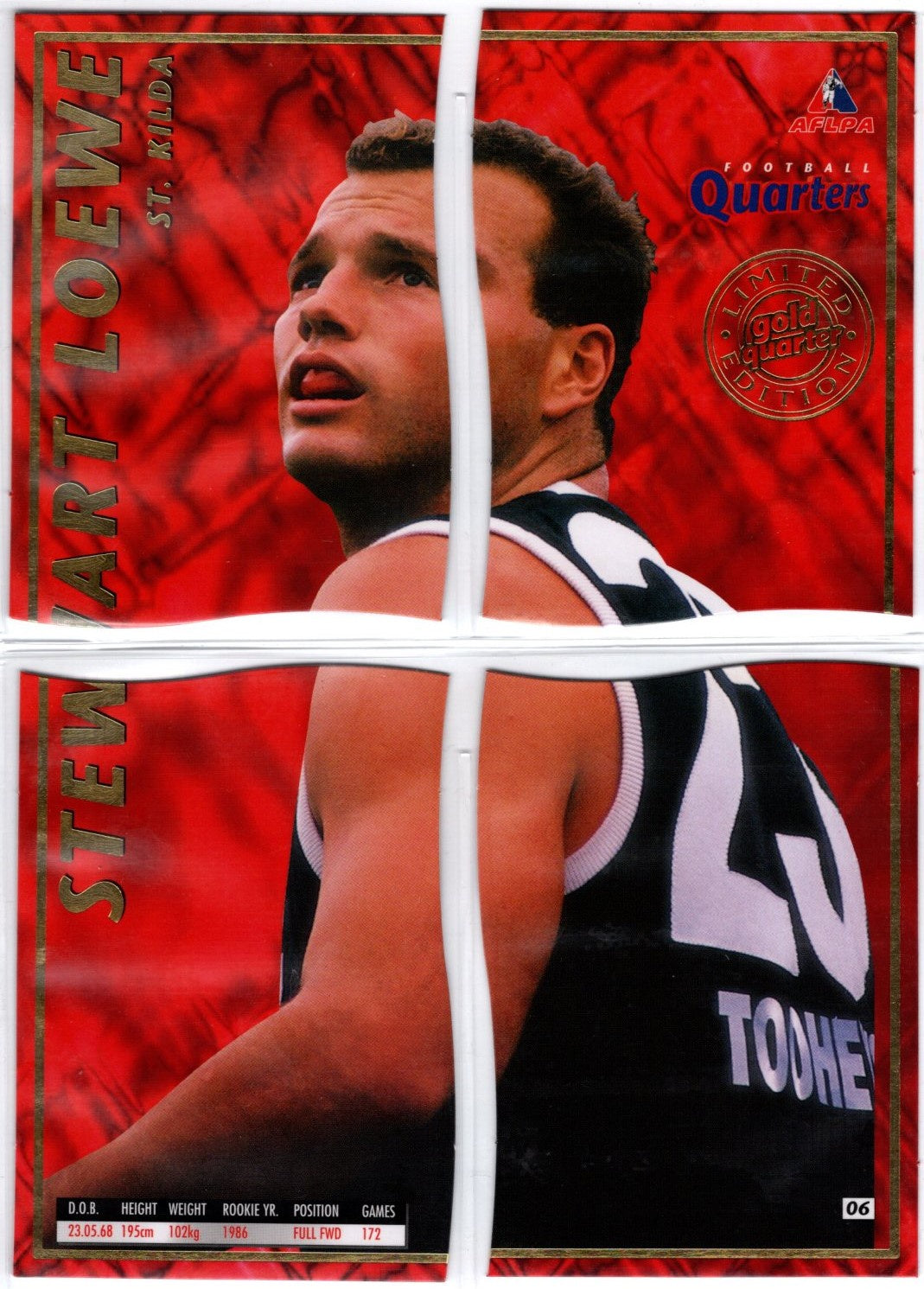 Stewart Loewe, Gold Quarter, 1995 AFLPA Football Quarters