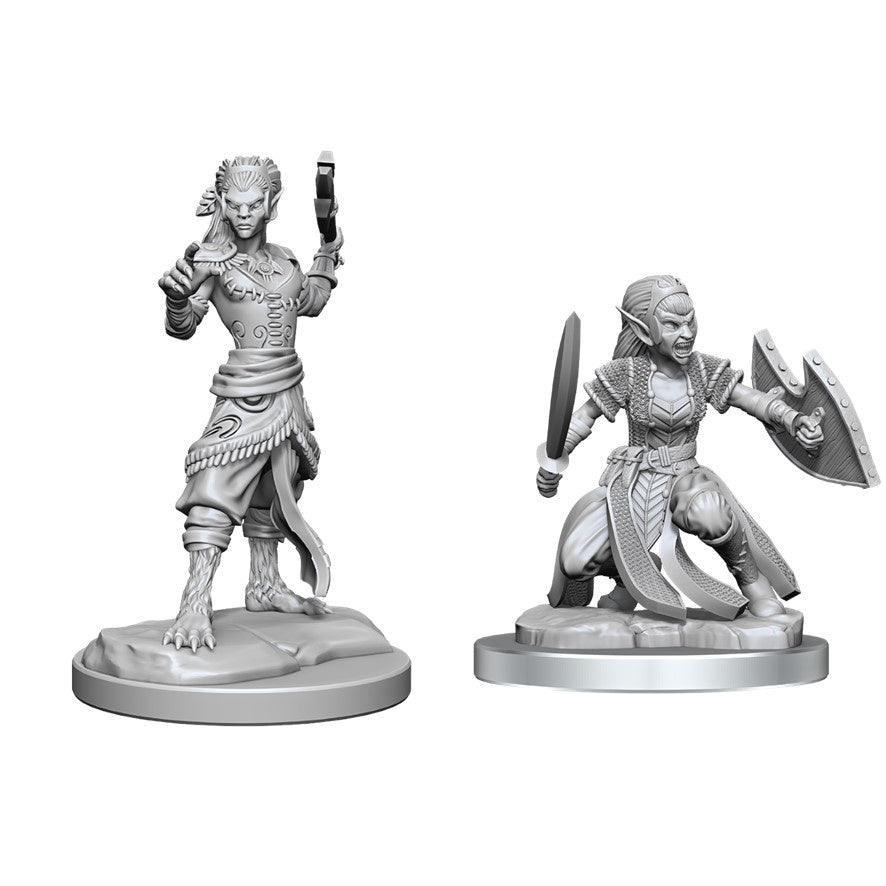 D&D Dungeons & Dragons Nolzurs Marvelous Miniatures Shifter Fighter
