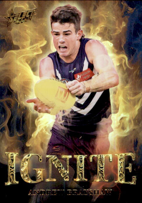 Andrew Brayshaw, IGG21, Ignite Gold, 2024 Select AFL Footy Stars