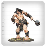 Warhammer Age of Sigmar 93-14, Brawlers of Behemat