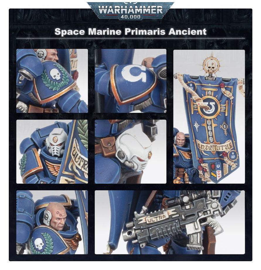 Warhammer 40,000 - 48-104, Space Marines, Ancient in Terminator Armour
