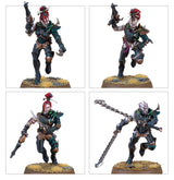 Warhammer 40,000 - 45-69, Drukhari Battleforce: Realspace Raiders