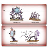 Warhammer Age of Sigmar 83-112, Regiment of Renown: The Accursed Reflection