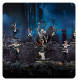 Warhammer Age of Sigmar 85-25, Regiment of Renown: The Crimson Lash
