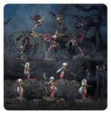Warhammer Age of Sigmar 85-67, Battleforce: Daughters of Khaine – Scáthborn Coven