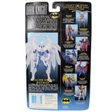 Legends of the Dark Knight, Glacier Shield Batman Action Figure
