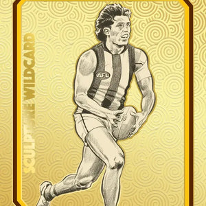 All AFL Footy Cards