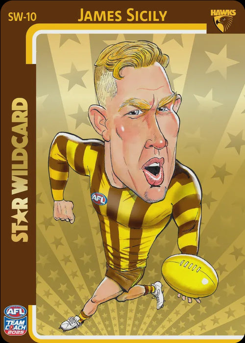 James Sicily, GOLD Star Wildcard, 2025 Teamcoach AFL