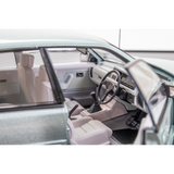 Panorama Silver Holden VL Walkinshaw, 1:24 Scale Diecast Car