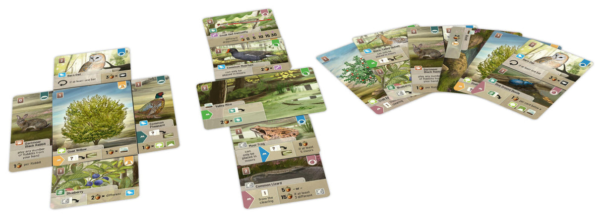 Forest Shuffle Dartmoor