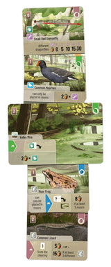 Forest Shuffle Dartmoor