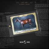 Quinceañera Rookie Card (Pierro X Winx), Sideline Series