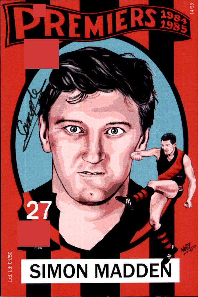 Essendon Bombers 1984-1985 Back to Back Premiers Card Set by Noel