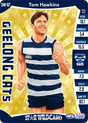 Tom Hawkins, Star Wildcard, 2019 Teamcoach AFL