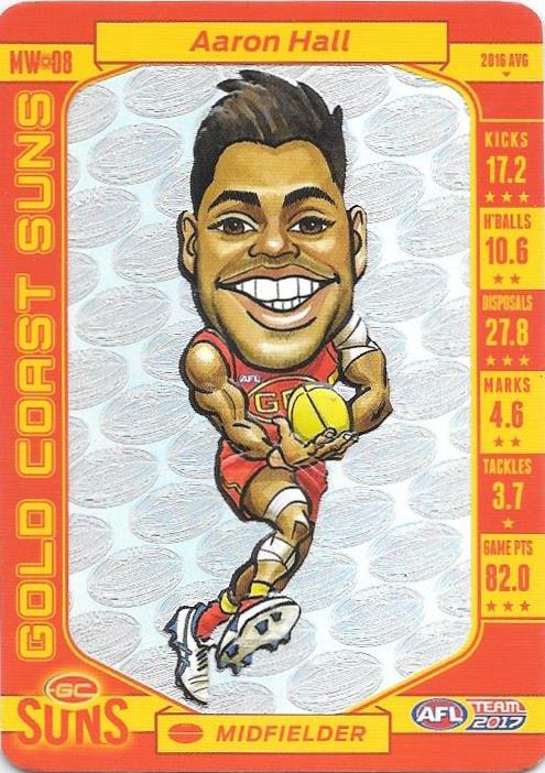 Aaron Hall, Magic Wildcard, 2017 Teamcoach AFL