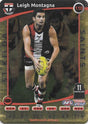 Leigh Montagna, Gold, 2012 Teamcoach AFL