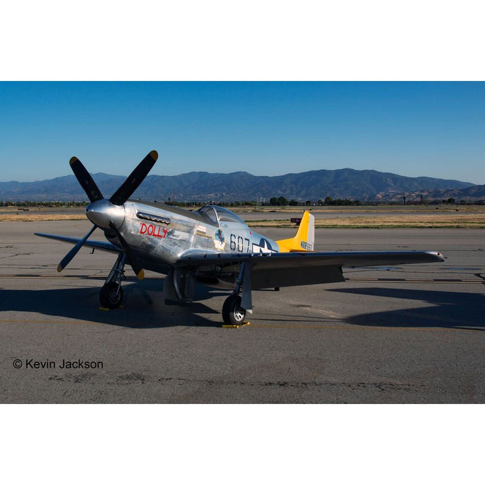 REVELL P-51D MUSTANG 1:32 Scale Model Kit