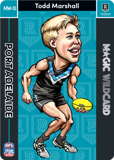 Todd Marshall, Magic Wildcard, 2023 Teamcoach AFL