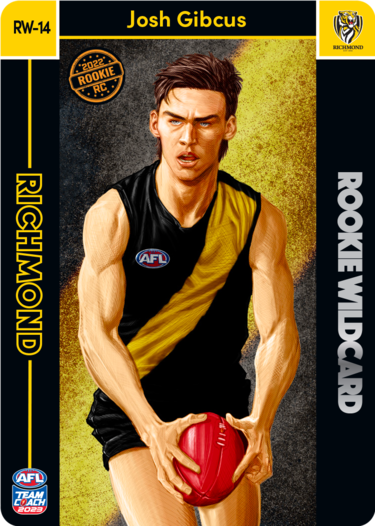 Josh Gibcus, Rookie Wildcard, 2023 Teamcoach AFL