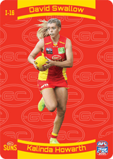 Swallow, Howarth, 3D Icons, 2021 Teamcoach AFL