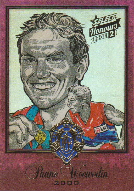 Shane Woewodin, Brownlow Sketch, 2014 Select AFL Honours 2