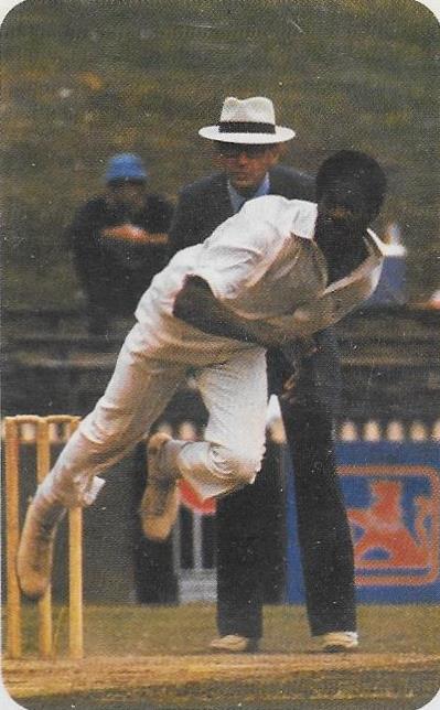 Michael Holding, 1979-80 Ardmona Cricket Series II