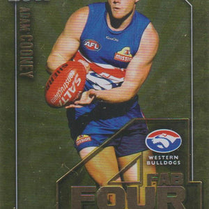 2011 Select AFL