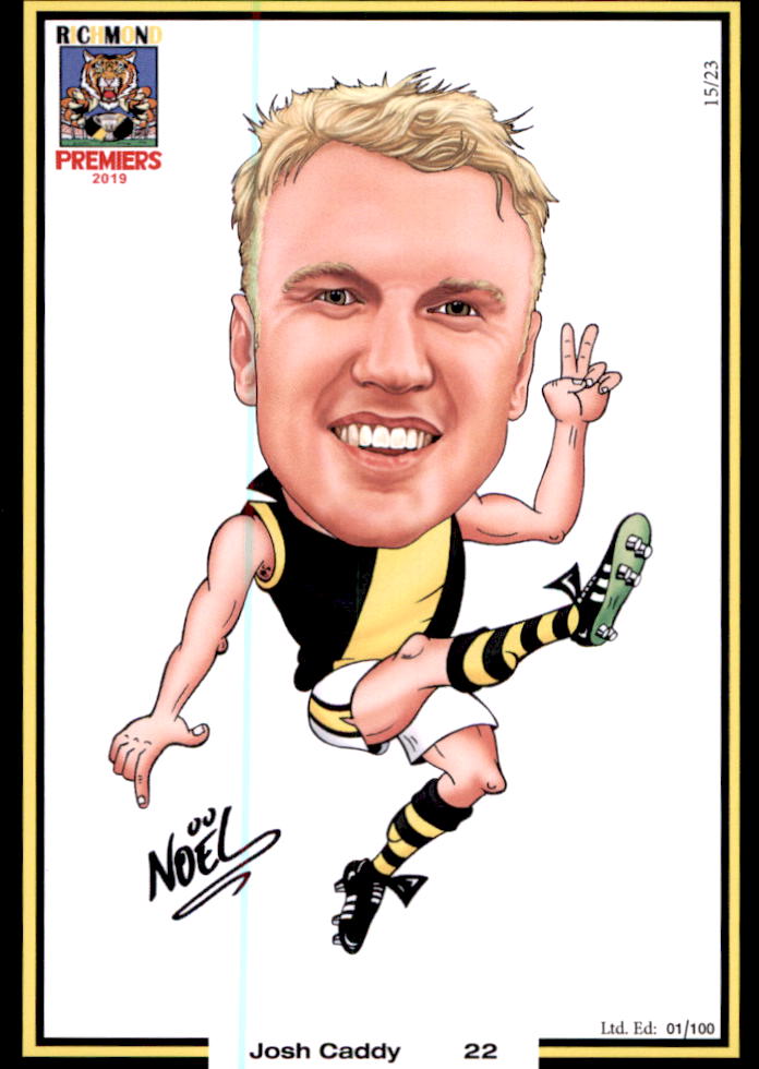 Richmond Tigers 2019 Premiers Card Set by Noel