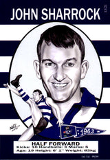 Geelong Cats 1963 Premiers Card Set by Noel